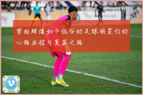 曾经辉煌如今低谷的足球明星们的心路历程与复苏之路