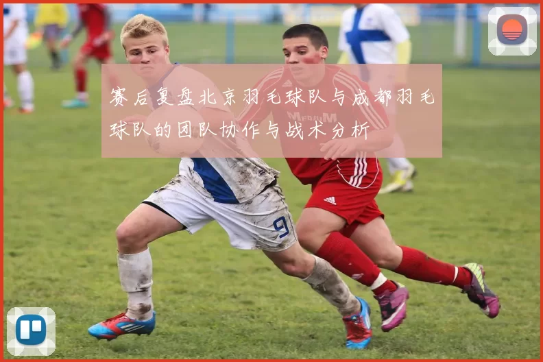赛后复盘北京羽毛球队与成都羽毛球队的团队协作与战术分析