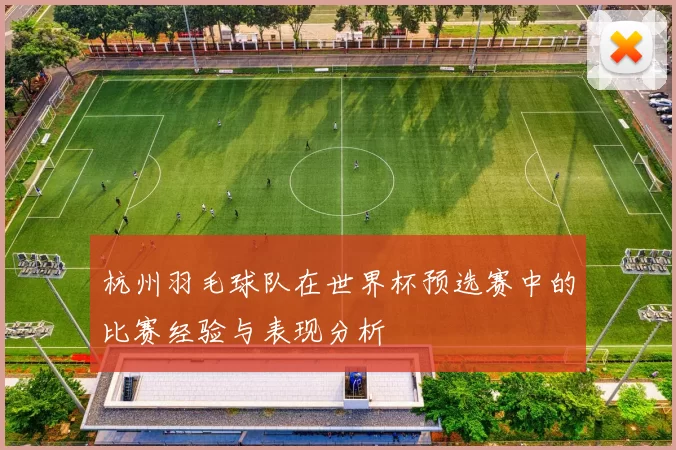 杭州羽毛球队在世界杯预选赛中的比赛经验与表现分析