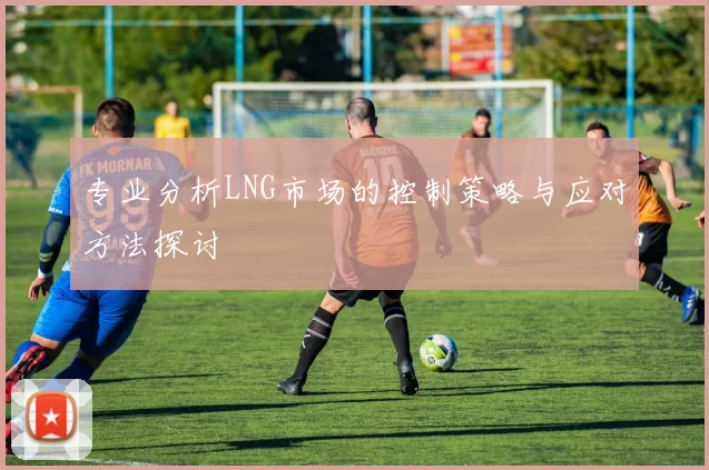 专业分析LNG市场的控制策略与应对方法探讨