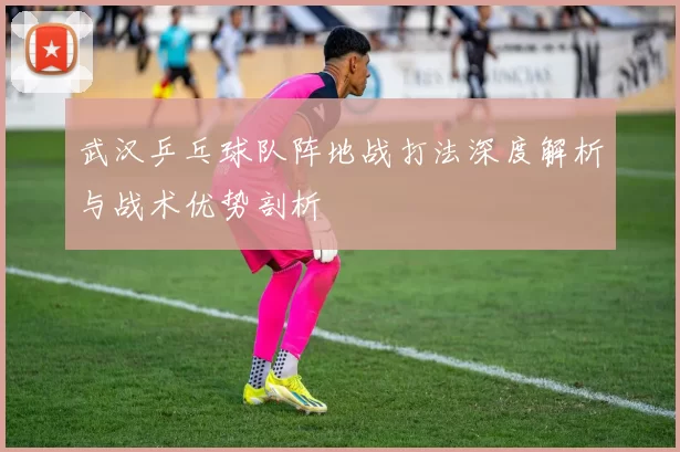 武汉乒乓球队阵地战打法深度解析与战术优势剖析
