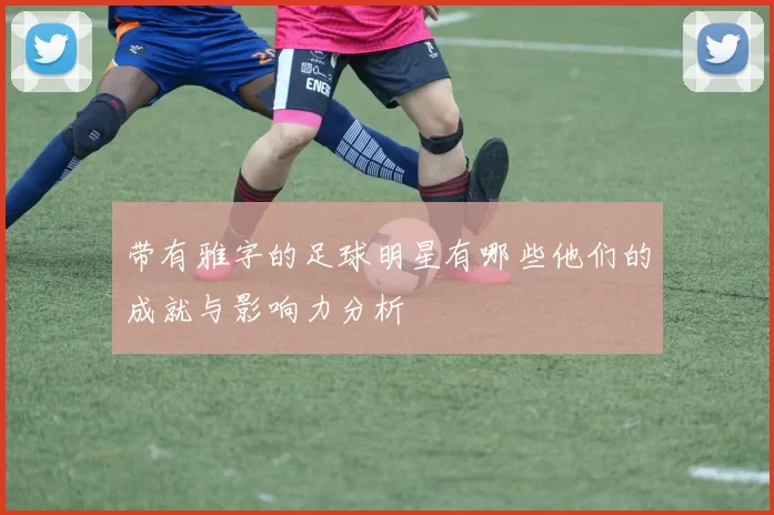 带有雅字的足球明星有哪些他们的成就与影响力分析