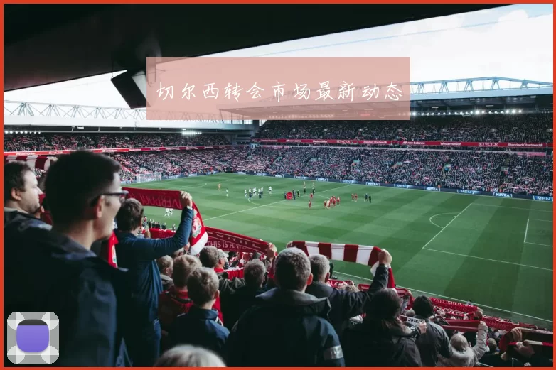 切尔西转会市场最新动态