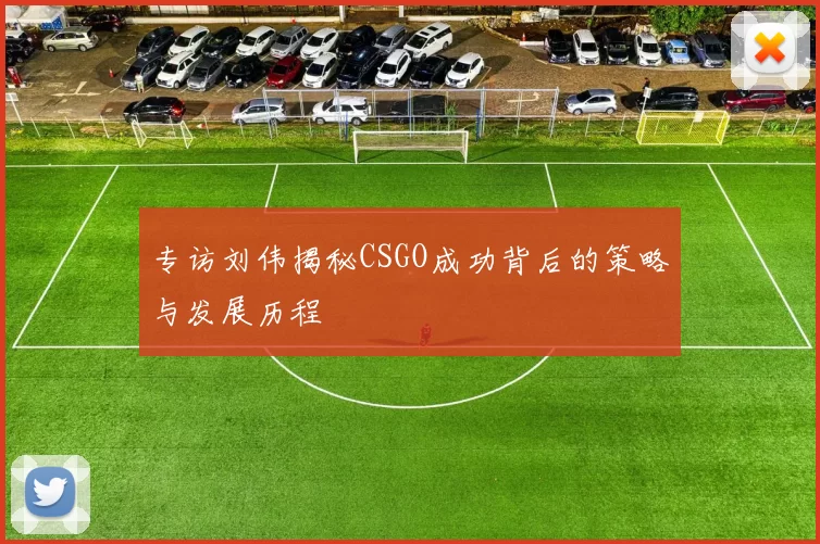 专访刘伟揭秘CSGO成功背后的策略与发展历程