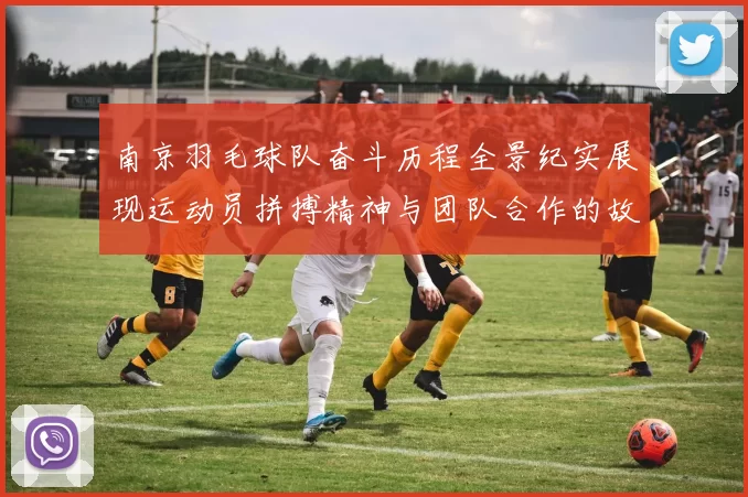 南京羽毛球队奋斗历程全景纪实展现运动员拼搏精神与团队合作的故事