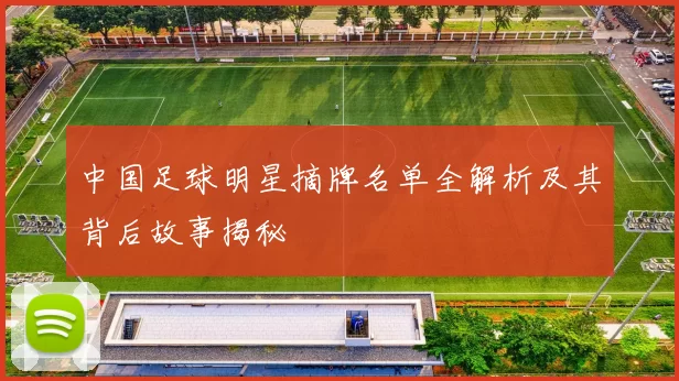 中国足球明星摘牌名单全解析及其背后故事揭秘