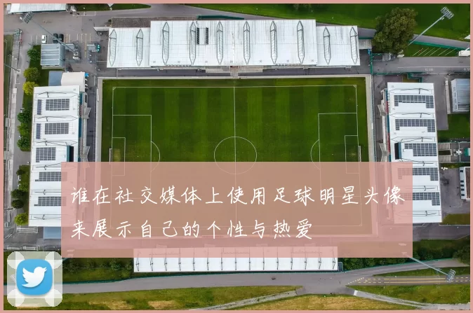 谁在社交媒体上使用足球明星头像来展示自己的个性与热爱
