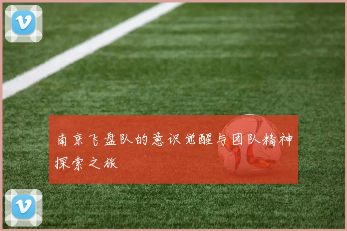 南京飞盘队的意识觉醒与团队精神探索之旅