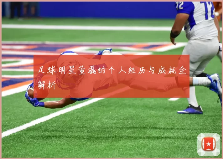 足球明星董磊的个人经历与成就全解析