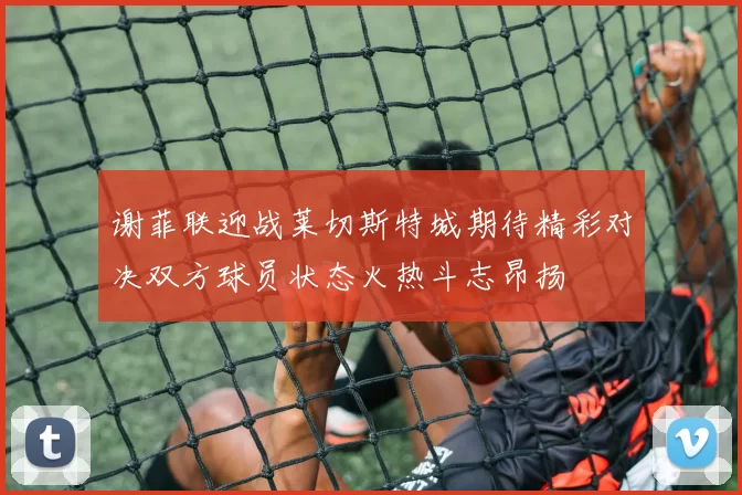 谢菲联迎战莱切斯特城期待精彩对决双方球员状态火热斗志昂扬