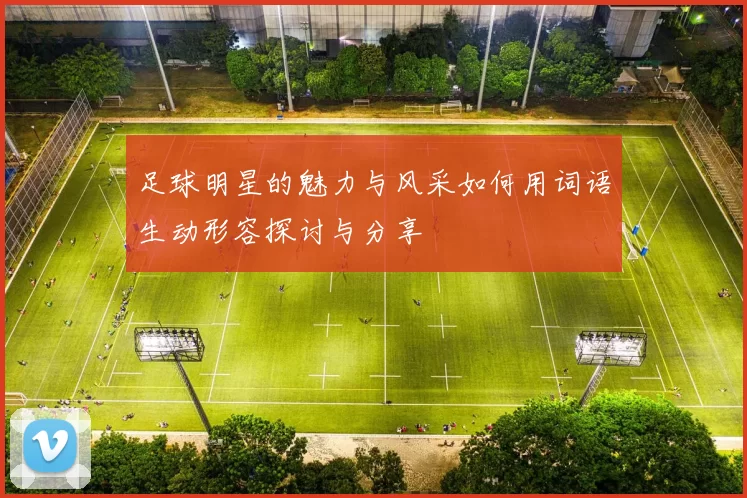 足球明星的魅力与风采如何用词语生动形容探讨与分享