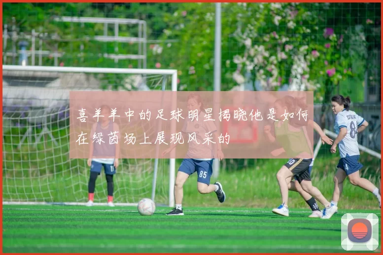 喜羊羊中的足球明星揭晓他是如何在绿茵场上展现风采的