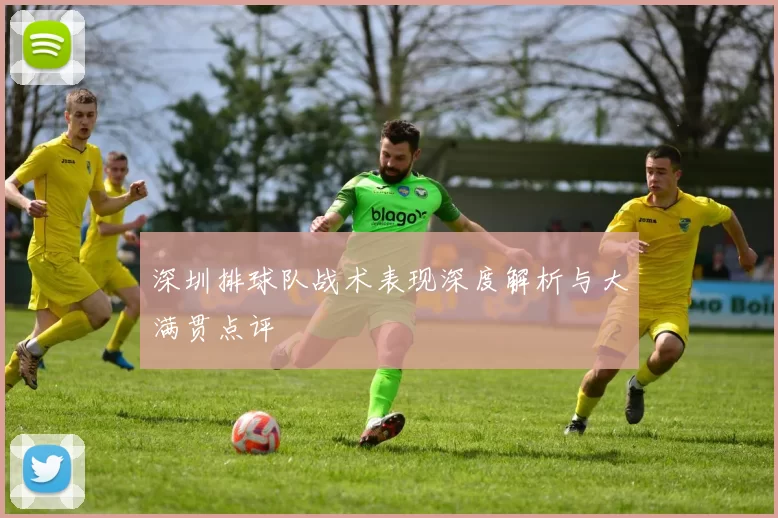 深圳排球队战术表现深度解析与大满贯点评