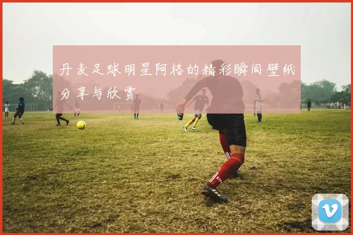 丹麦足球明星阿格的精彩瞬间壁纸分享与欣赏