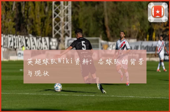 英超球队Wiki资料：各球队的背景与现状