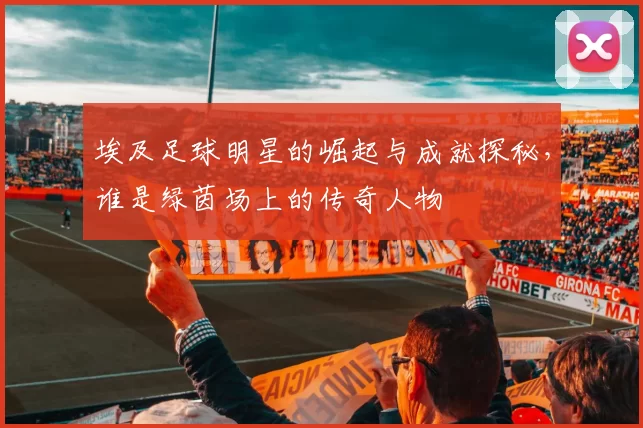 埃及足球明星的崛起与成就探秘，谁是绿茵场上的传奇人物