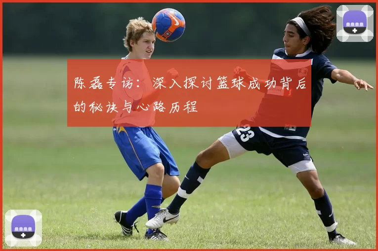 陈磊专访：深入探讨篮球成功背后的秘诀与心路历程