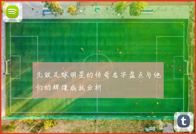 无敌足球明星的传奇名字盘点与他们的辉煌成就分析