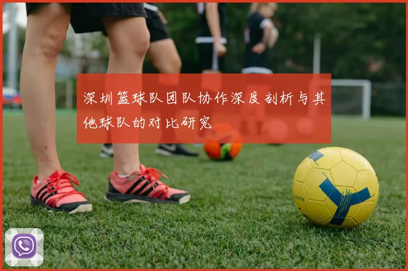 深圳篮球队团队协作深度剖析与其他球队的对比研究