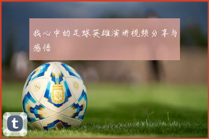 我心中的足球英雄演讲视频分享与感悟