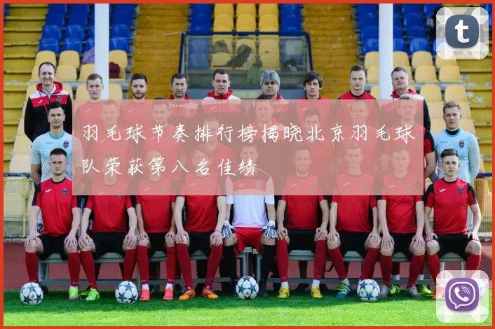 羽毛球节奏排行榜揭晓北京羽毛球队荣获第八名佳绩