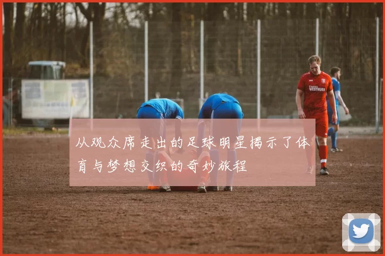 从观众席走出的足球明星揭示了体育与梦想交织的奇妙旅程