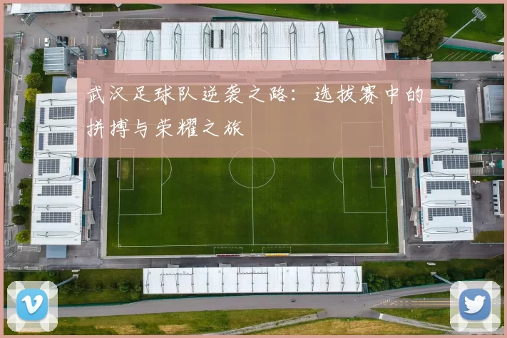 武汉足球队逆袭之路：选拔赛中的拼搏与荣耀之旅