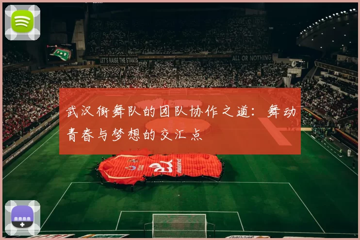 武汉街舞队的团队协作之道：舞动青春与梦想的交汇点